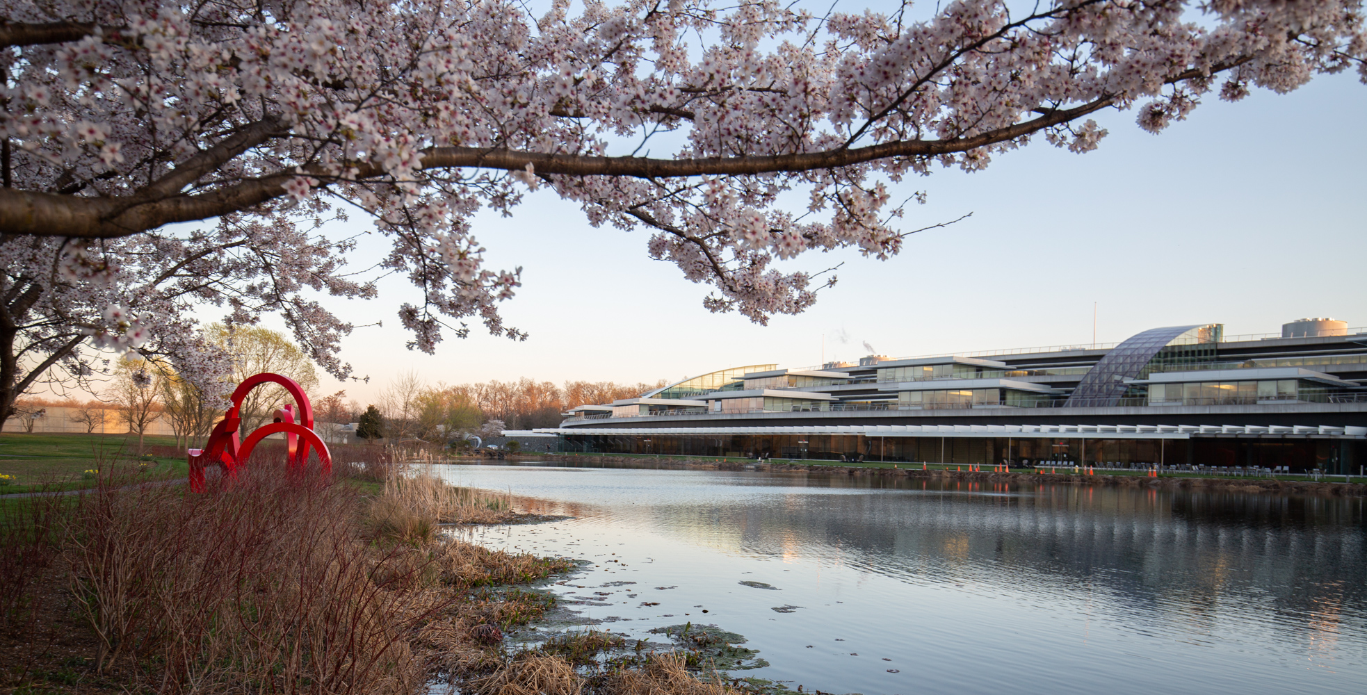 2023-cherry-blossom-over-landscape.jpg